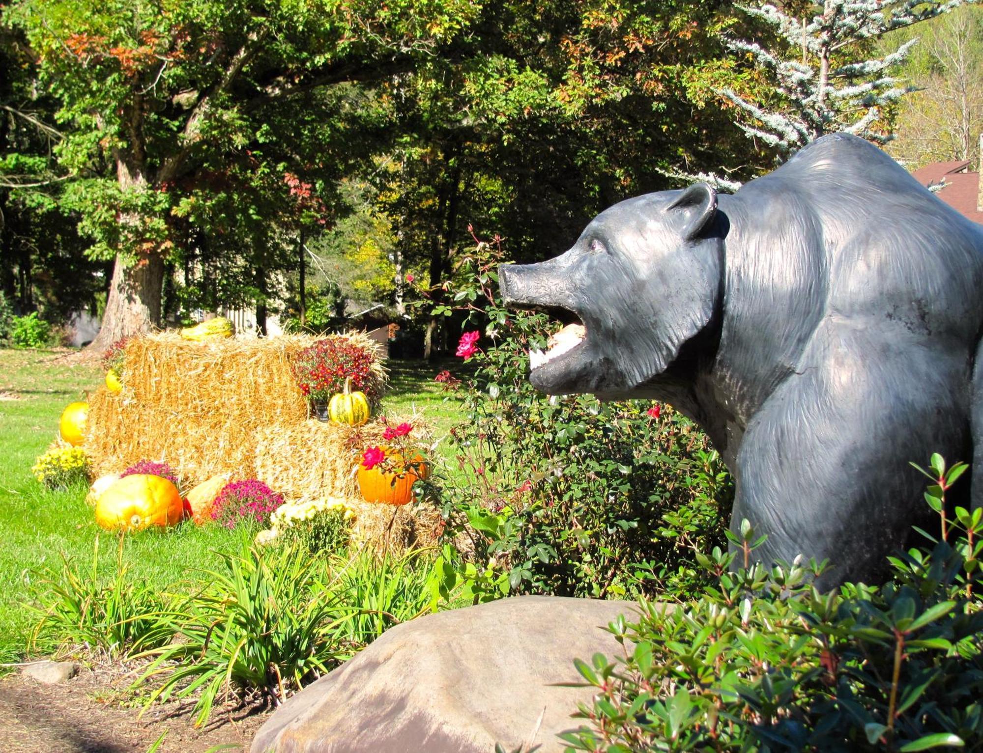 Brookside Lodge Gatlinburg Luaran gambar